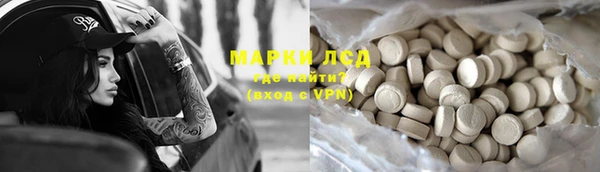 крисы Аркадак