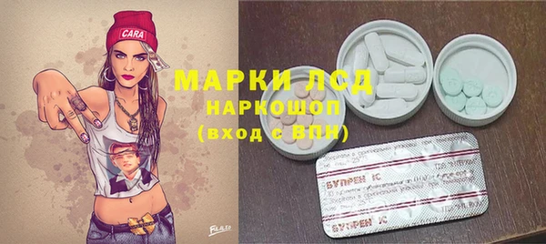 apvp Арсеньев