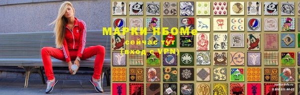 крисы Аркадак