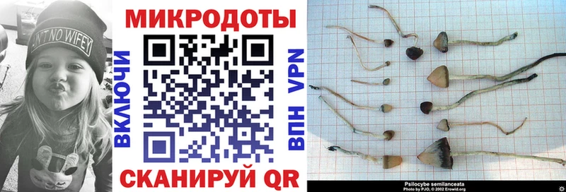Псилоцибиновые грибы Cubensis  купить наркотик  Краснотурьинск 