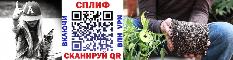 Каннабис планчик  закладки  Краснотурьинск 